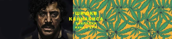 дживик Вязьма