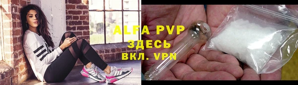 дживик Вязьма