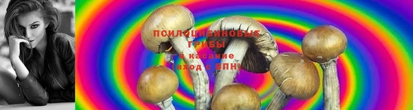 дживик Вязьма