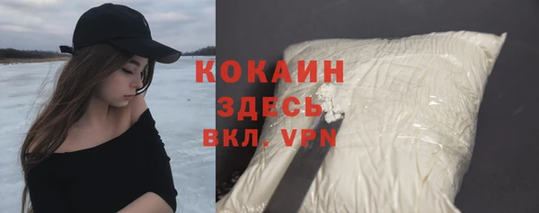 дживик Вязьма