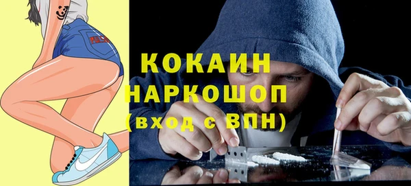 дживик Вязьма